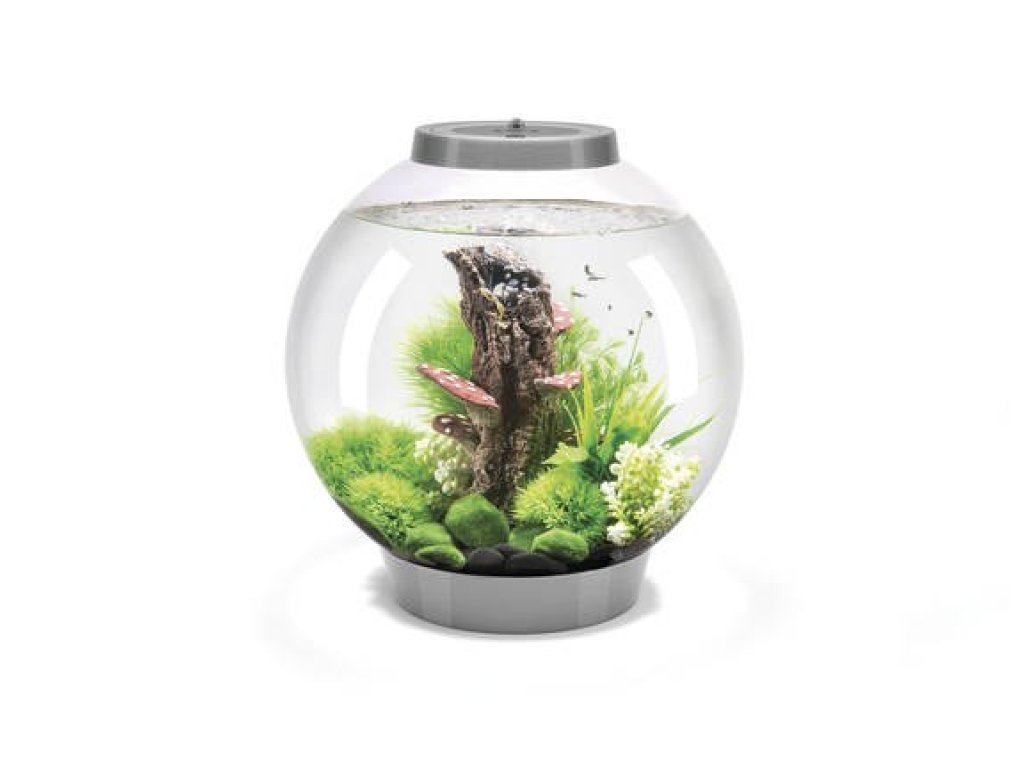 Oase biOrb CLASSIC 30 LED (akvárium stříbrné)