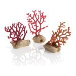 Oase biOrb dekorace sada korálů růžová