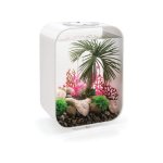 Oase biOrb dekorace sada korálů růžová