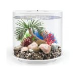 Oase biOrb dekorace sada korálů růžová