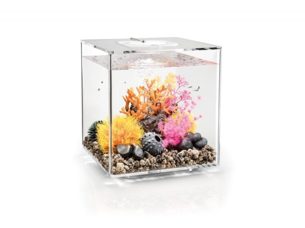 Oase biOrb CUBE 60 MCR (akvárium transparentní)