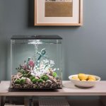 Oase biOrb CUBE 30 LED (akvárium bílé)