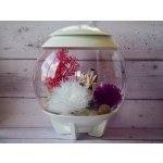 Oase biOrb HALO 30 MCR (akvárium bílé)