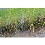 Pontec PondoSolar 600 control (jezírkové čerpadlo na solární pohon)