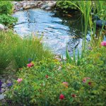 Oase Aquamax Eco Classic 11500 (jezírkové čerpadlo)