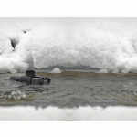 Oase AquaMax Gravity Eco 10000 (jezírkové gravitační čerpadlo)