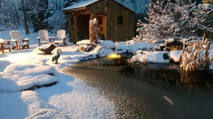 Připravte jezírko na zimu.