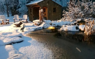 Připravte jezírko na zimu.