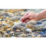 Oase QuickStick 6 in 1 - testovací proužky na vodu (50ks)