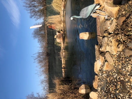 ODZIMOVÁNÍ JEZÍRKA