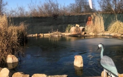 ODZIMOVÁNÍ JEZÍRKA