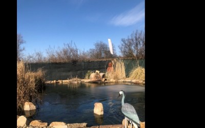 ODZIMOVÁNÍ JEZÍRKA