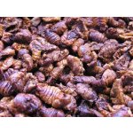 Sušené Larvy bource morušového 5 l (1300g)