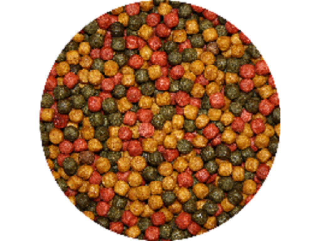 Tříbarevné krmivo na barvu pro KOI (15kg- 3mm)