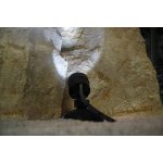 Pontec PondoStar LED set 6 (jezírkové LED osvětlení)